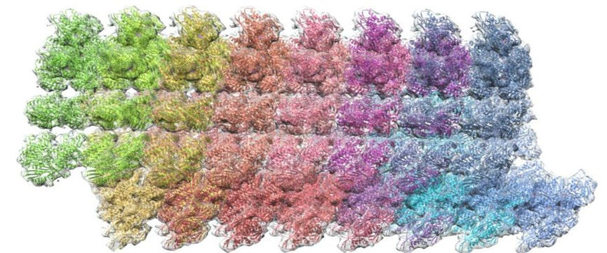 Image of a rainbow coloured microtubule model